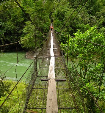 Borneo trekking bridge