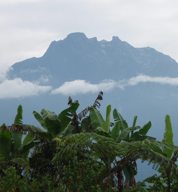 Borneo_Kinabalu_view to peak across forest and clouds