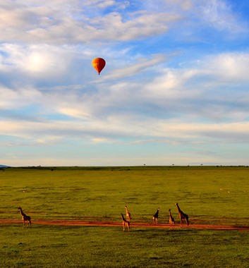 Kenya Safari - Masai Mara Hot Air Balloon