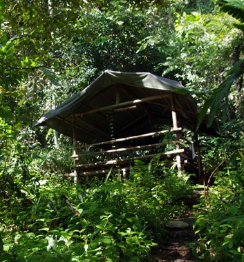 Lupa Masa Jungle Camp