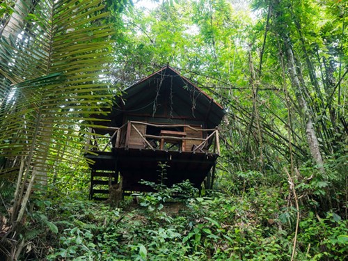 Chalet-Lupa-Masa-Rainforest-Camp.jpg