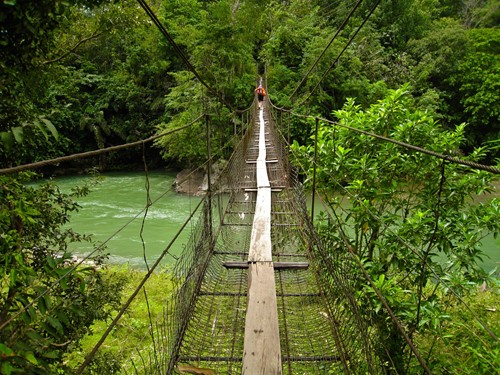 Borneo_rainforest suspension bridge.jpg
