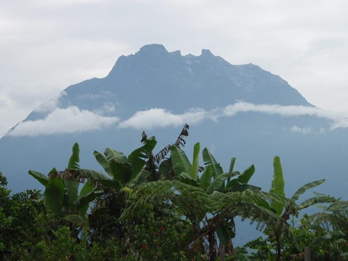 Mount Kinabalu_view to peak across forest and clouds.jpg