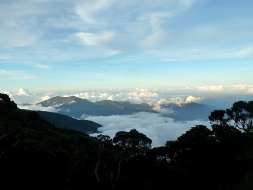 Mount Kinabalu_Kotal Route looking out over trees and clouds.jpg
