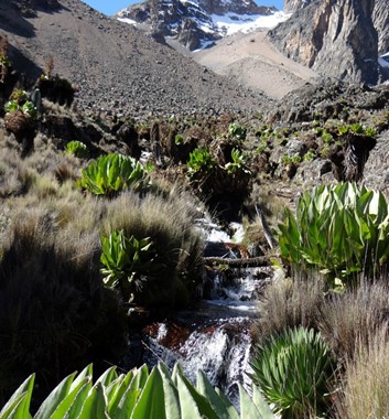 Mount Kenya - Naro Moru Route
