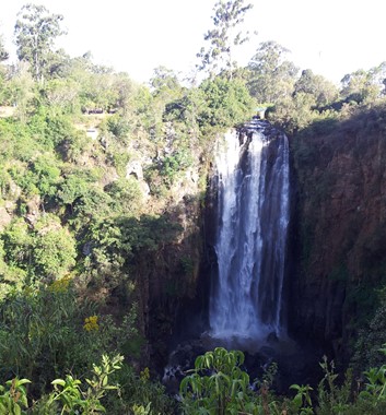 Kenya Safari - Thomson's Falls