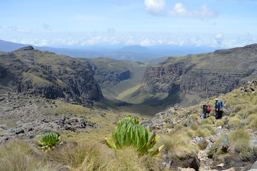 Mount Kenya - Chogoria Route (5)