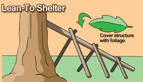 lean-to-shelter-jungle-survival.gif