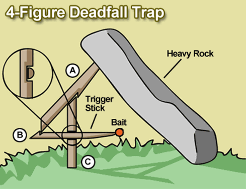 deadfall-trap-jungle-survival.gif