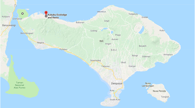 West Bali National Park  Bali  Indonesia to Kubuku Ecolodge and Resto   Google Maps.png
