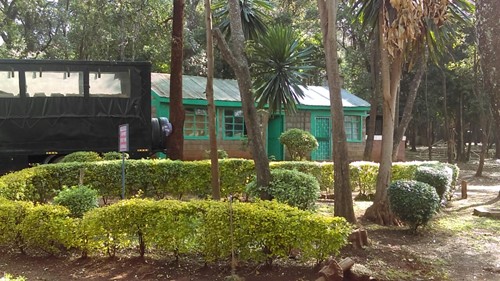 Adventure Alternative Kenya office at Rowallan