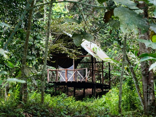 Honeymoon-Suite-Lupa-Masa-Rainforest-Camp.jpg