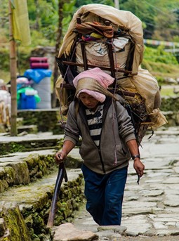 Local Nepali carrying load.jpg