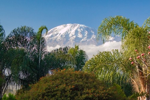 kilimanjaro-Tanzania.jpg
