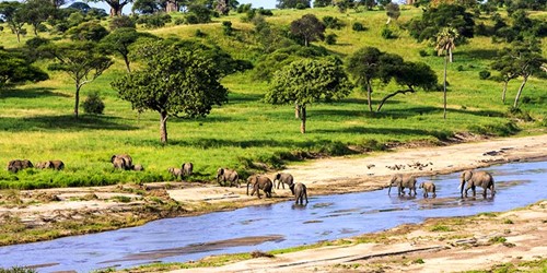 serengeti-tanzania.jpg