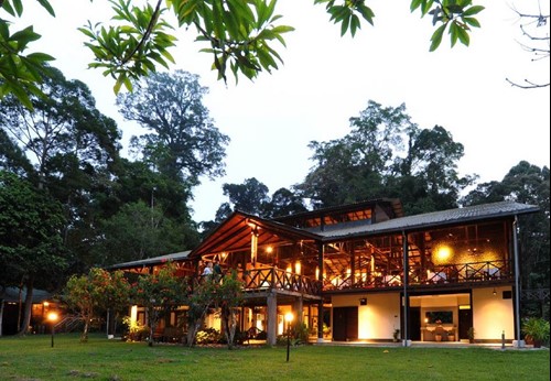 Borneo Rainforest Lodge.JPG