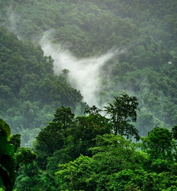 Bali rainforest trekking