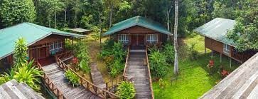 Borneo nature lodge.jpg
