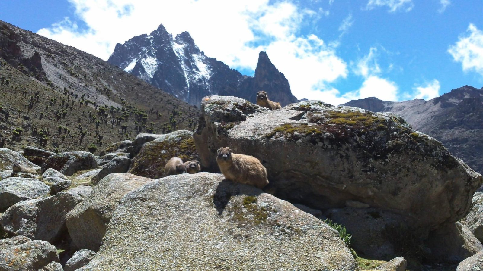 Adventure Alternative expedition photo 5