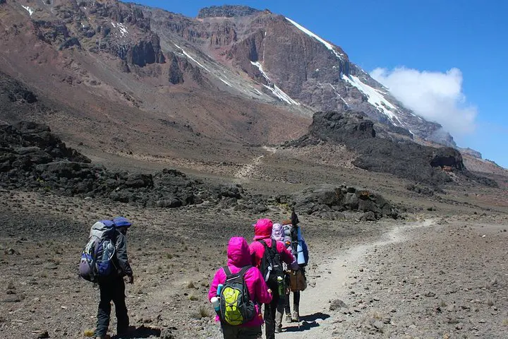 6 Days Machame Route Climb
